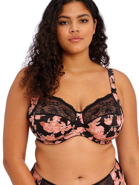 SALE  Clearance Bras – Tagged Elomi– Forever Yours Lingerie