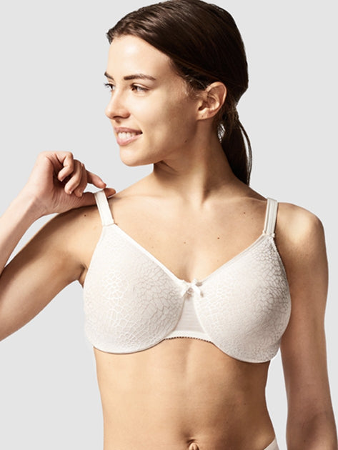 Zivosis Women White Cotton Blend Pack Of 3 T-Shirt Non Padded Bra (38A)